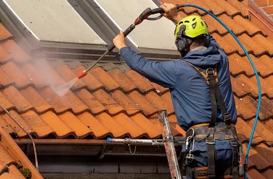 Démoussage et hydrofuge de toiture à Taillecavat